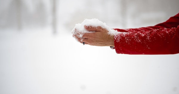 Ilustračný obrázok k článku: Zložené úročenie