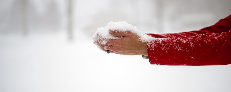 Ilustračný obrázok k článku: Zložené úročenie